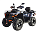 Квадроцикл MOTOLAND (МОТОЛЕНД) 300 MAX X в Кирове