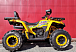 Квадроцикл PROMAX STORM 280 LUX в Кирове