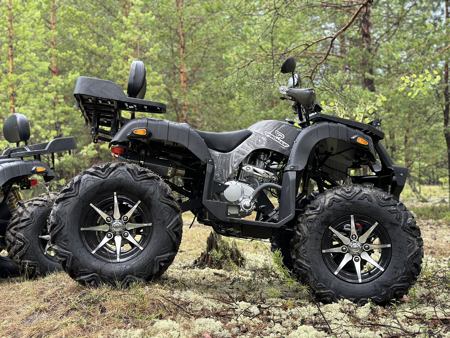 Квадроцикл PROMAX 320 DOMINATOR (2025) в Кирове