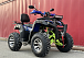  Квадроцикл PROMAX ATV 250 MAX (2025) в Кирове