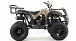 Квадроцикл MOTOLAND (МОТОЛЕНД) 200 ALL ROAD в Кирове