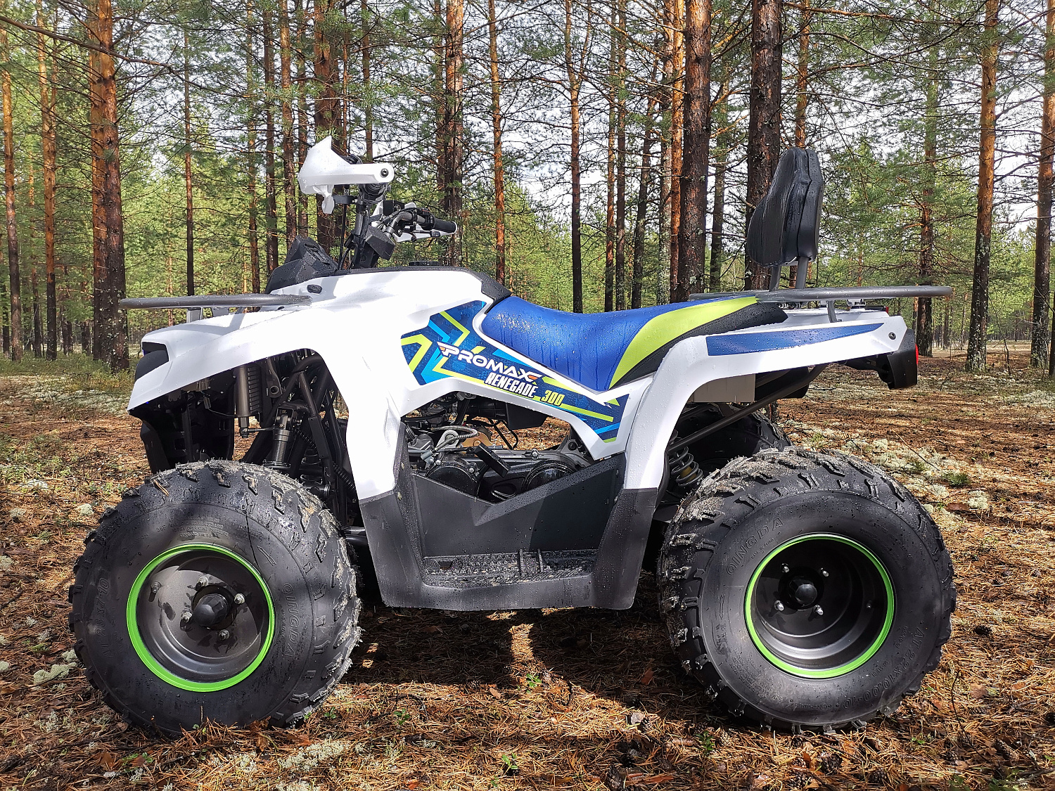 Квадроцикл PROMAX RENEGADE 280 (2025) в Кирове