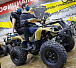 Квадроцикл PROMAX ATV 250 (2025) в Кирове