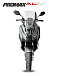 МаксиСкутер PROMAX-HONDA ADV 150 (49) EFI (Inspired by HONDA) в Кирове