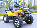 Квадроцикл MOTOLAND (МОТОЛЕНД) VOX200 WILD TRACK X PRO (баланс. вал) в Кирове