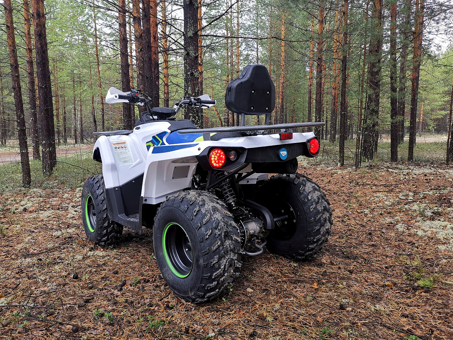 Квадроцикл PROMAX RENEGADE 280 (2025) в Кирове