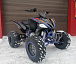 Квадроцикл PROMAX RAPTOR 300 NEW RedBull в Кирове