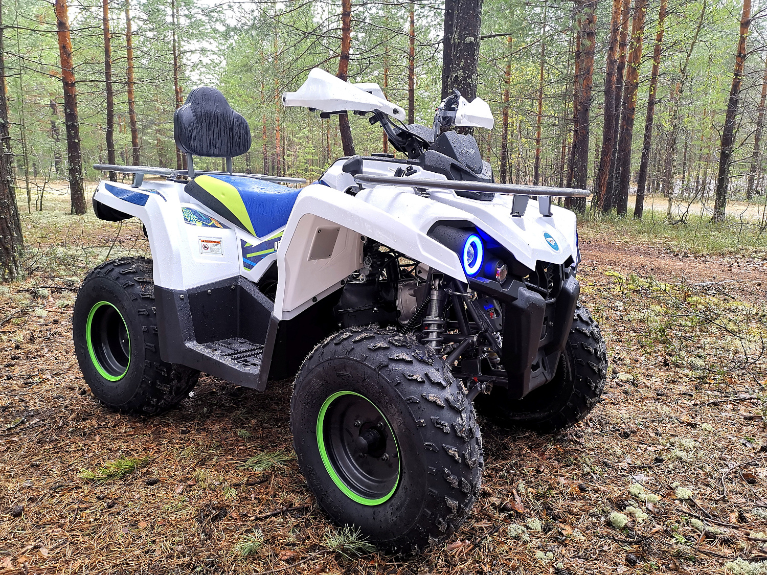 Квадроцикл PROMAX RENEGADE 280 (2025) в Кирове