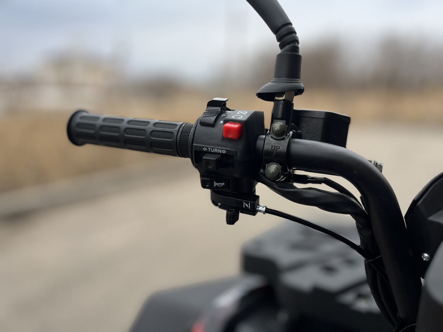 Квадроцикл PROMAX TAURUS 300 MAX-PRO LONG в Кирове