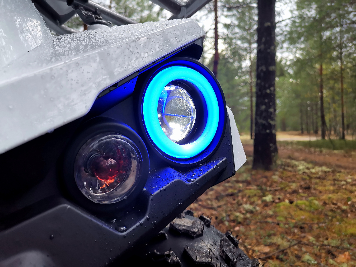 Квадроцикл PROMAX RENEGADE 280 (2025) в Кирове