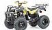 Квадроцикл MOTOLAND (МОТОЛЕНД) 250 ADVENTURE в Кирове