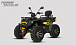 Квадроцикл PROMAX TAURUS 300 MAX-PRO LONG в Кирове